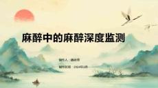 麻醉中的麻醉深度监测
