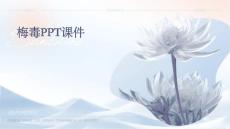 梅毒ppt课件
