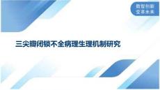 三尖瓣闭锁不全病理生理机制研究
