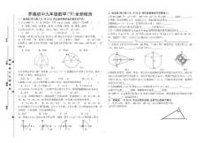 罗城初中华师大九年级下数学期末试题