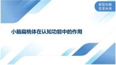 小脑扁桃体在认知功能中的作用