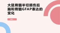 大鼠脊髓半切损伤后脑和脊髓GFAP表达的变化
