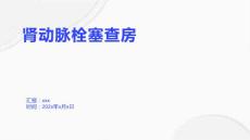 肾动脉栓塞查房