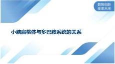 小脑扁桃体与多巴胺系统的关系