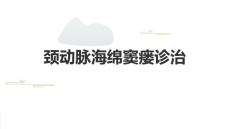 颈动脉海绵窦瘘诊治2024课件