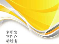 多形性室性心动过速的分析