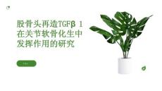 股骨头再造TGFβ1在关节软骨化生中发挥作用的研究