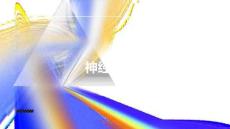 健康指南了解神经性贪食的症状和处理方法