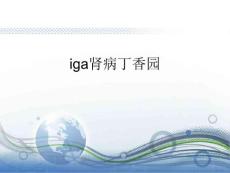 iga肾病丁香园