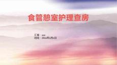 食管憩室护理查房