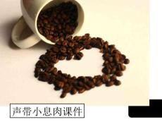 声带小息肉课件