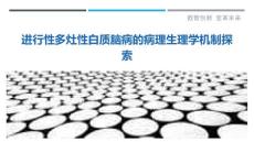 进行性多灶性白质脑病的病理生理学机制探索