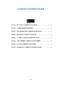 三尖瓣闭锁不全的影像学评估进展