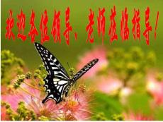 思想政治優(yōu)質(zhì)課 《雨的印記——生活智慧和時代精神》 高三 復(fù)習(xí)課（公開課精品課件）