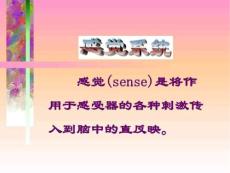 感觉障碍.ppt