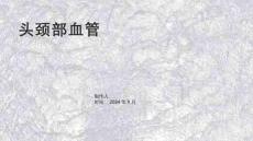 《头颈部血管》课件