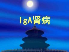 IgA肾病-课件