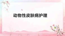 动物性皮肤病护理