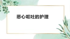 恶心呕吐的护理