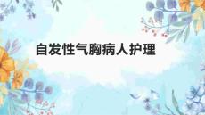 自发性气胸病人护理