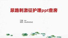 尿路刺激征护理ppt查房