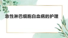 急性淋巴细胞白血病的护理