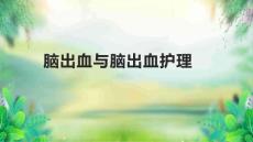 脑出血与脑出血护理2