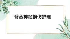 臂丛神经损伤护理1