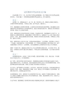 試用期的年終總結范文匯編