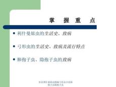 杜氏利什曼原虫刚地弓形虫卡氏肺孢子虫隐孢子虫课件.ppt