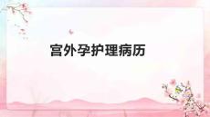 宫外孕护理病历