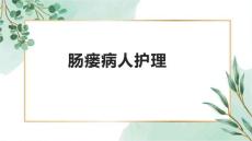 肠瘘病人护理---副本