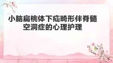 小脑扁桃体下疝畸形伴脊髓空洞症病人的心理护理