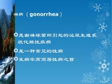 淋病课件.ppt