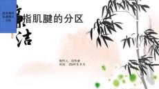 《伸指肌腱的分区》课件2
