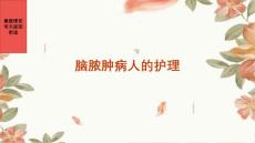 《脑脓肿病人的护理》课件