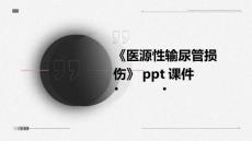 《医源性输尿管损伤》课件