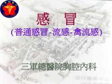 普通感冒-流感-禽流感课件