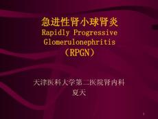 急进性肾小球肾炎