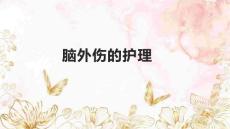 脑外伤的护理