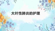 大叶性肺炎的护理