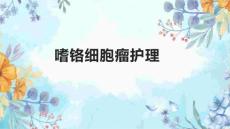 嗜铬细胞瘤护理