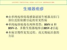 生殖器疱疹专题知识讲座培训课件