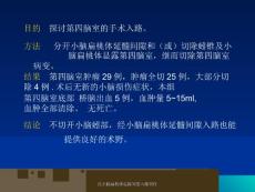 经小脑扁桃体延髓间隙入路课件.ppt