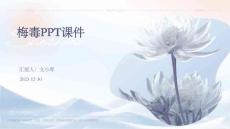 梅毒ppt课件
