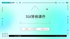 iga肾病课件 ppt