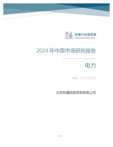 2024年中國電力行業市場研究報告