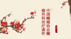 中国癫痫协会癫痫外科治疗课件