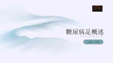 糖尿病足概述