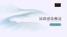 尿路感染概述